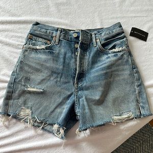 NWT Agolde Dee Super High Rise Shorts